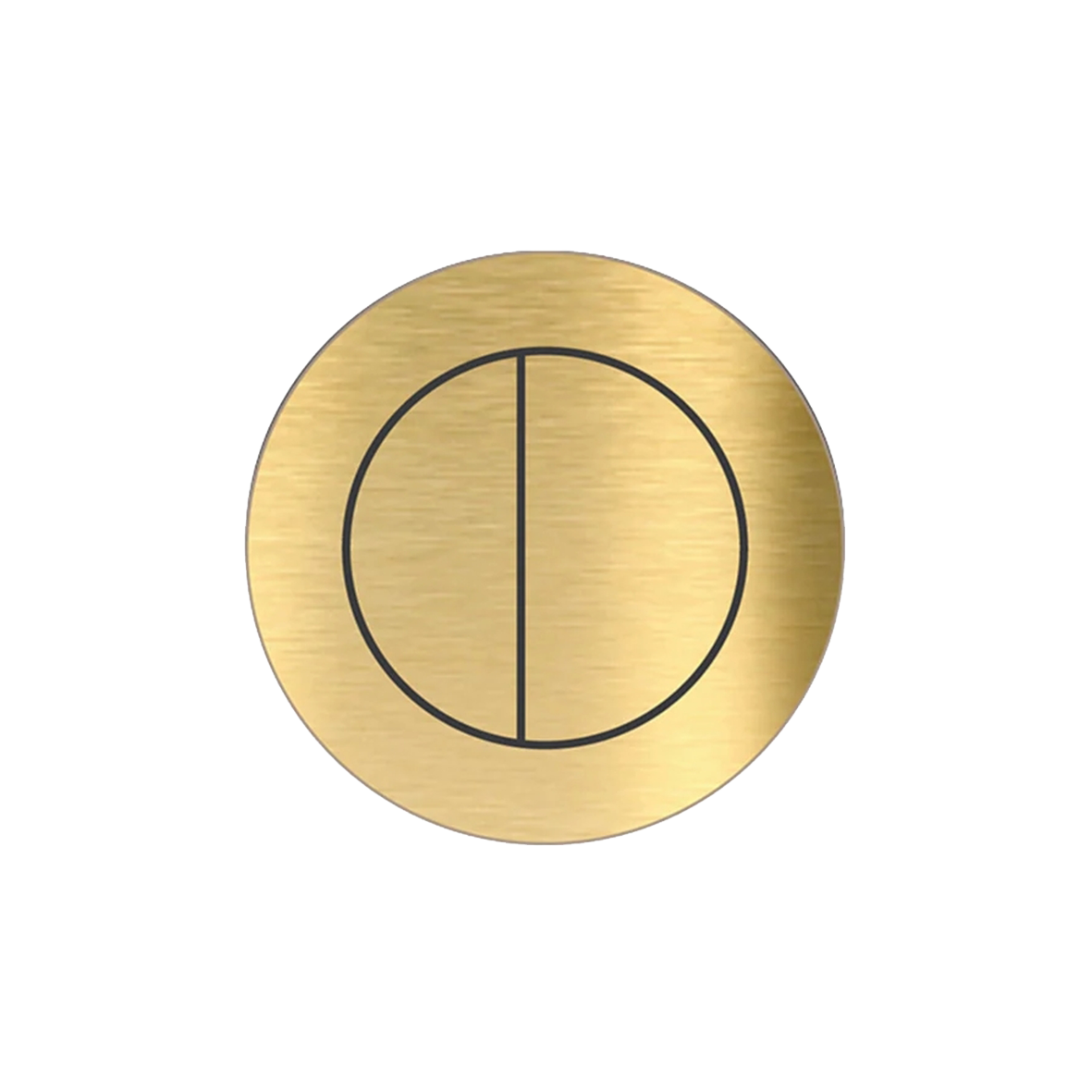 Flush Button