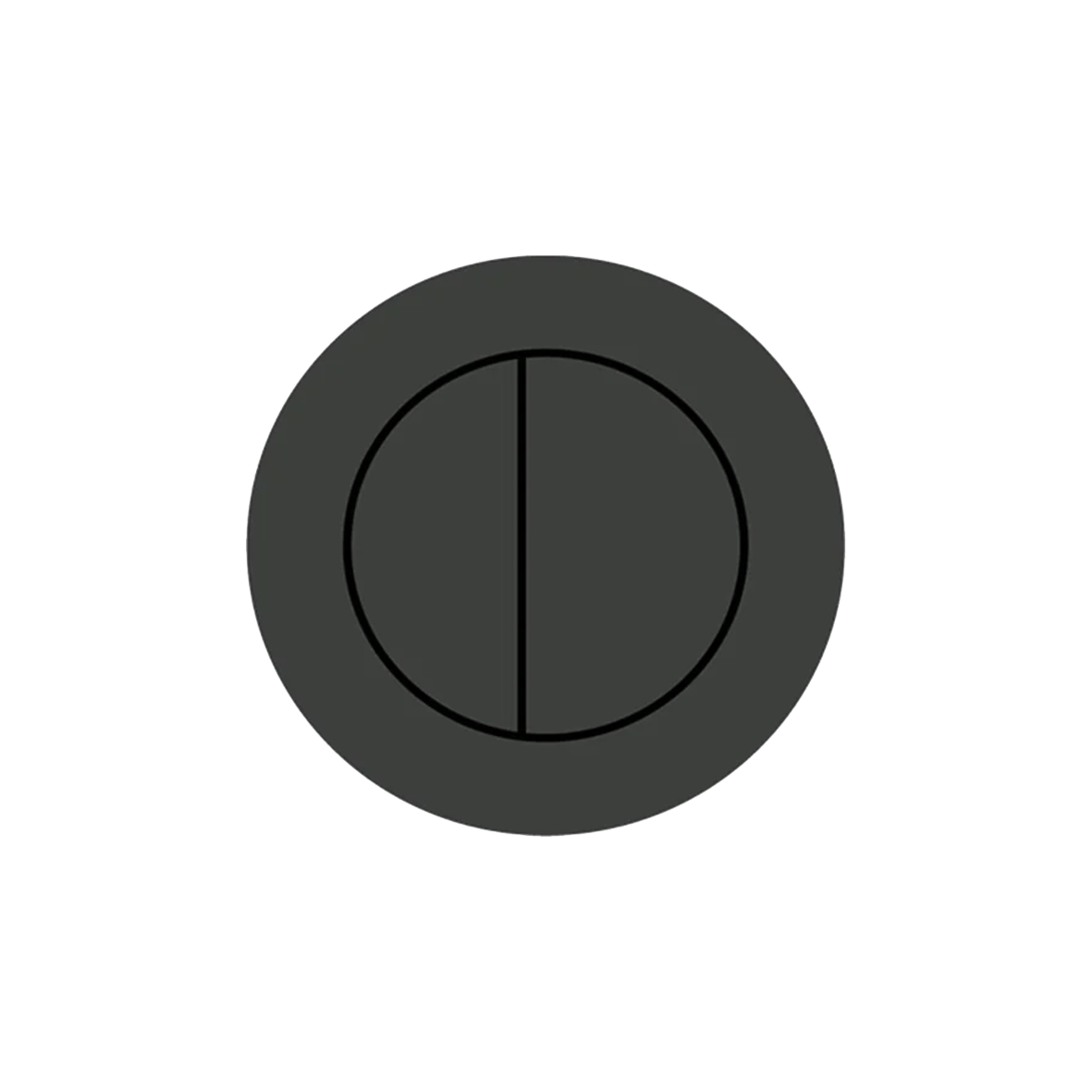 Flush Button