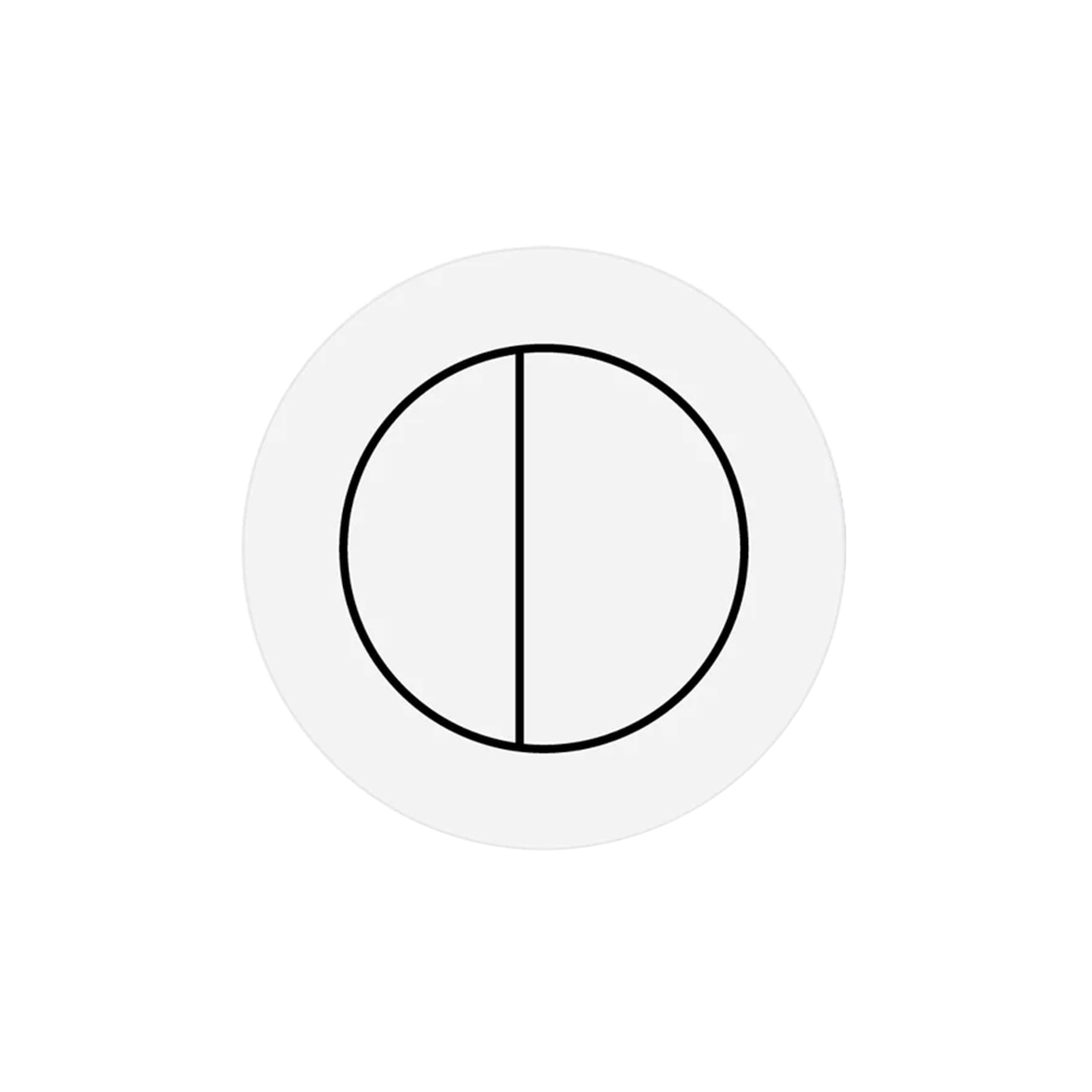 Flush Button