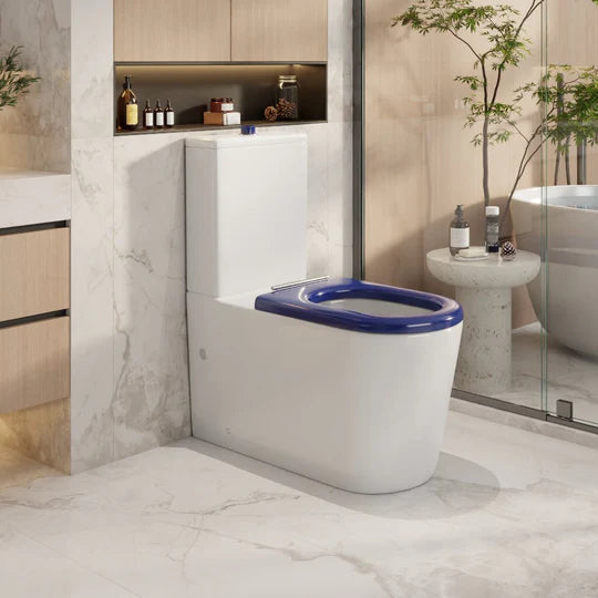 PANI CARE BACK TO WALL TOILET
