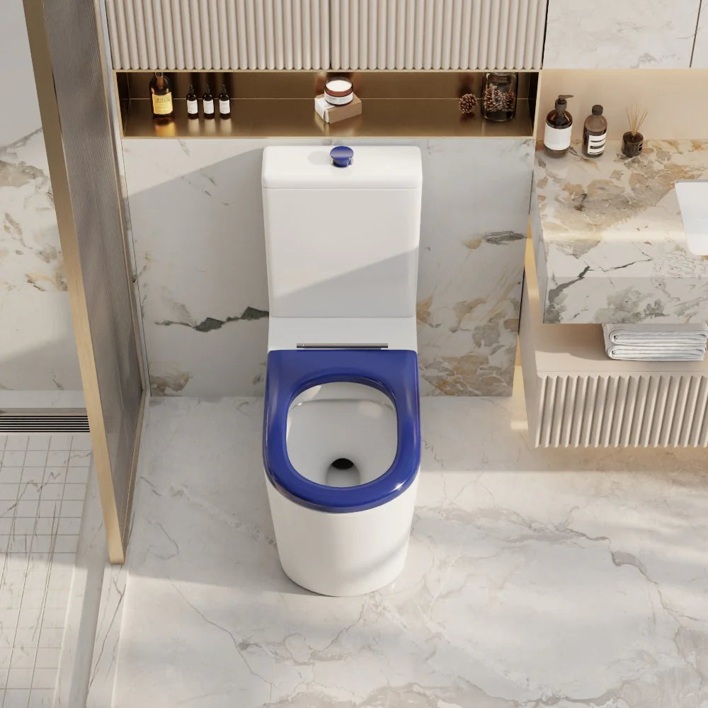 PANI CARE BACK TO WALL TOILET