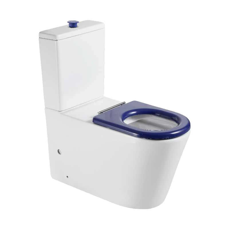 PANI CARE BACK TO WALL TOILET