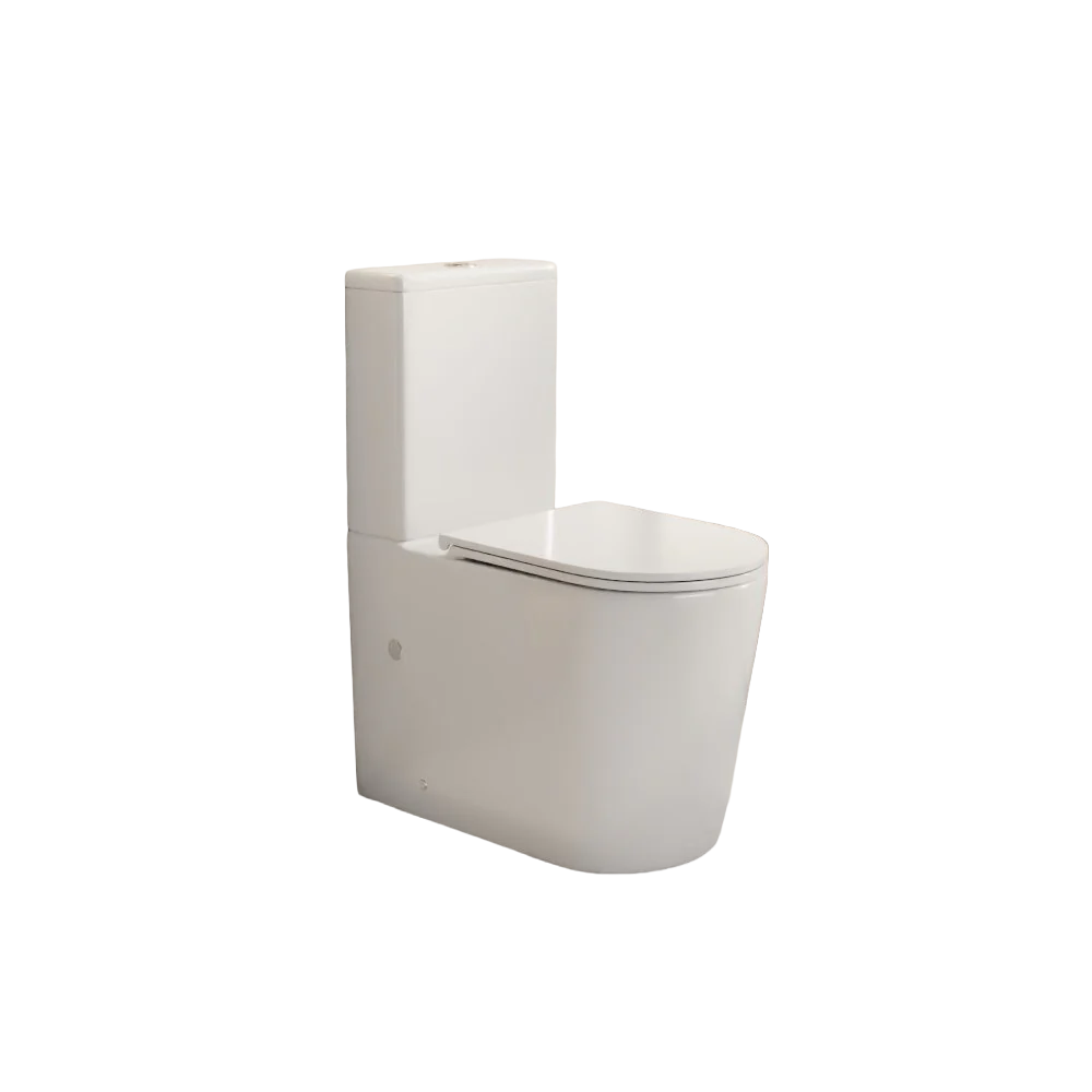 NORTON BACK TO WALL TOILET