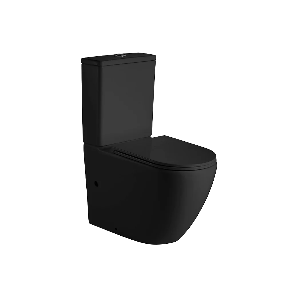 NORTON BACK TO WALL TOILET