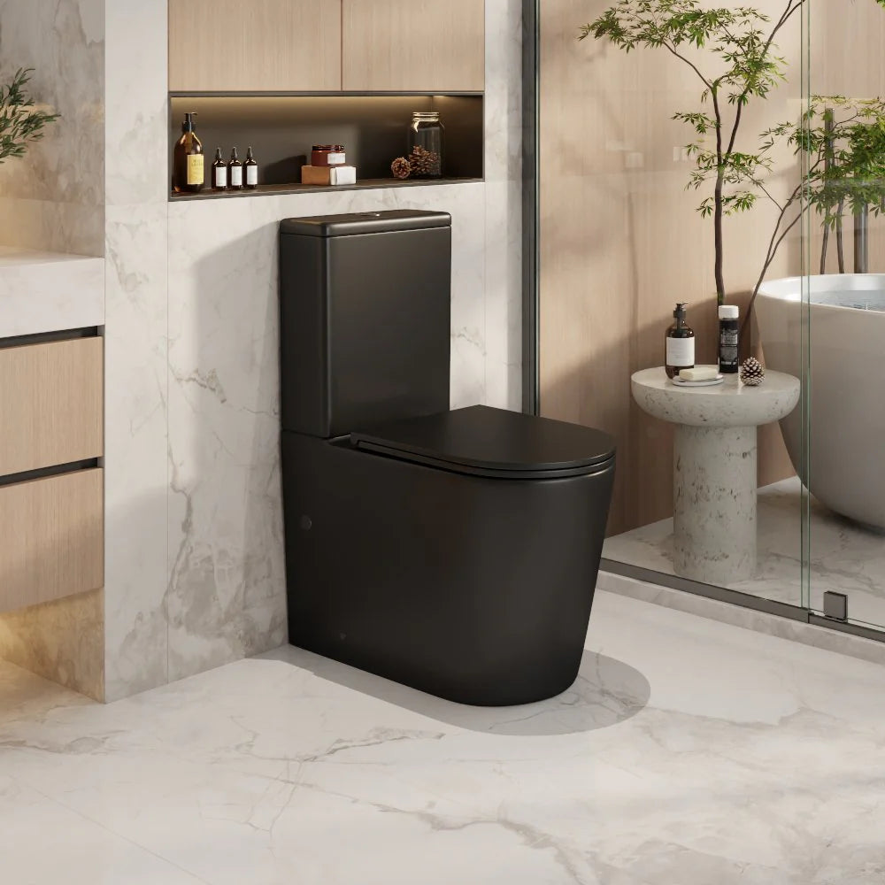 NORTON BACK TO WALL TOILET